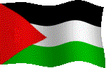 شات فلسطين